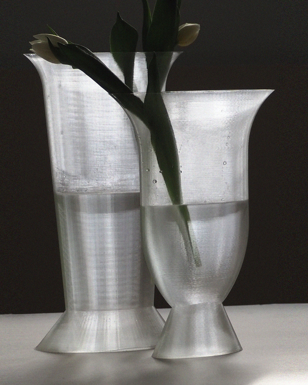 ARGOT STUDIO Elipse Vase Duo