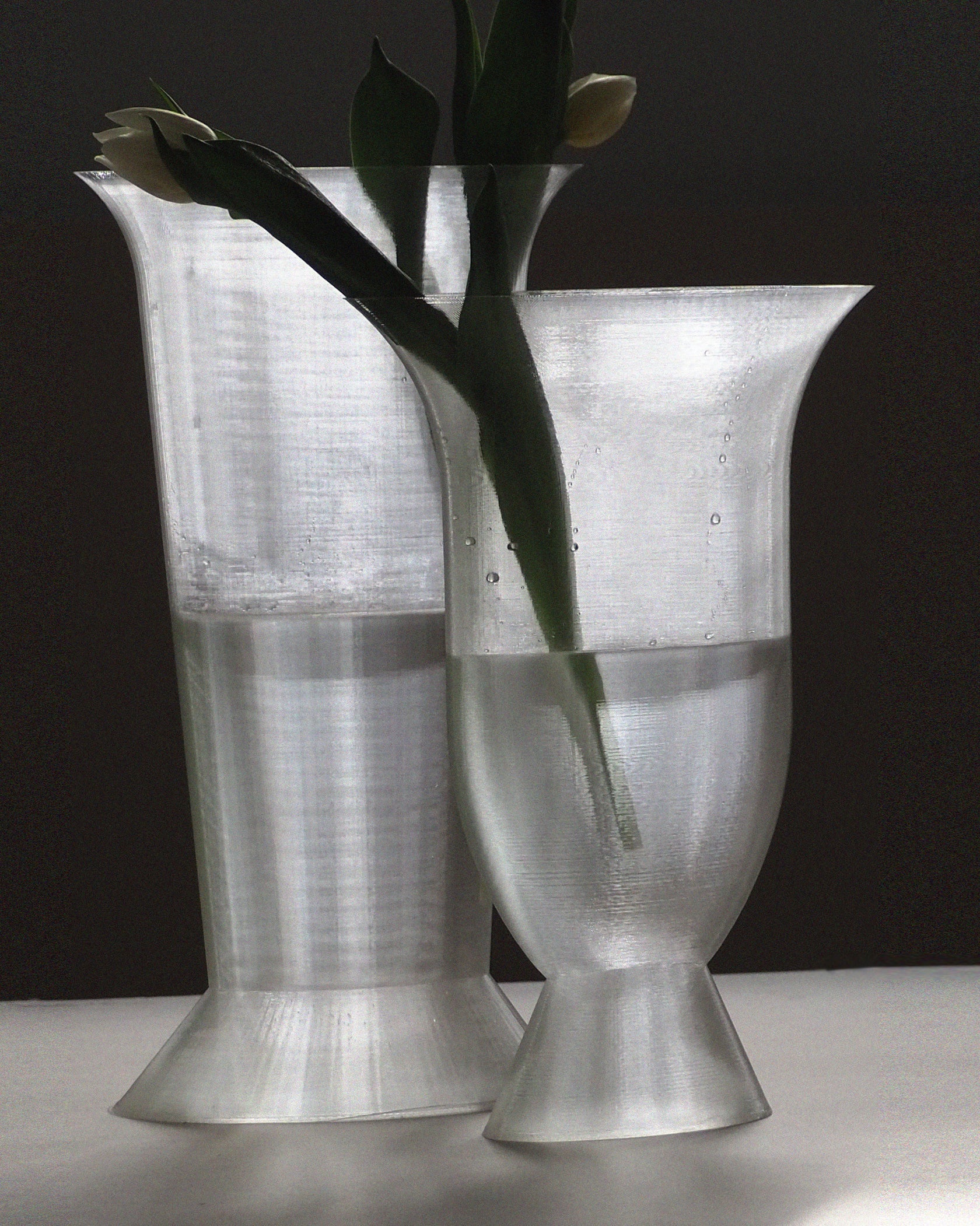 ARGOT STUDIO Elipse Vase Duo