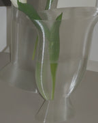 ARGOT STUDIO Elipse Vase Duo