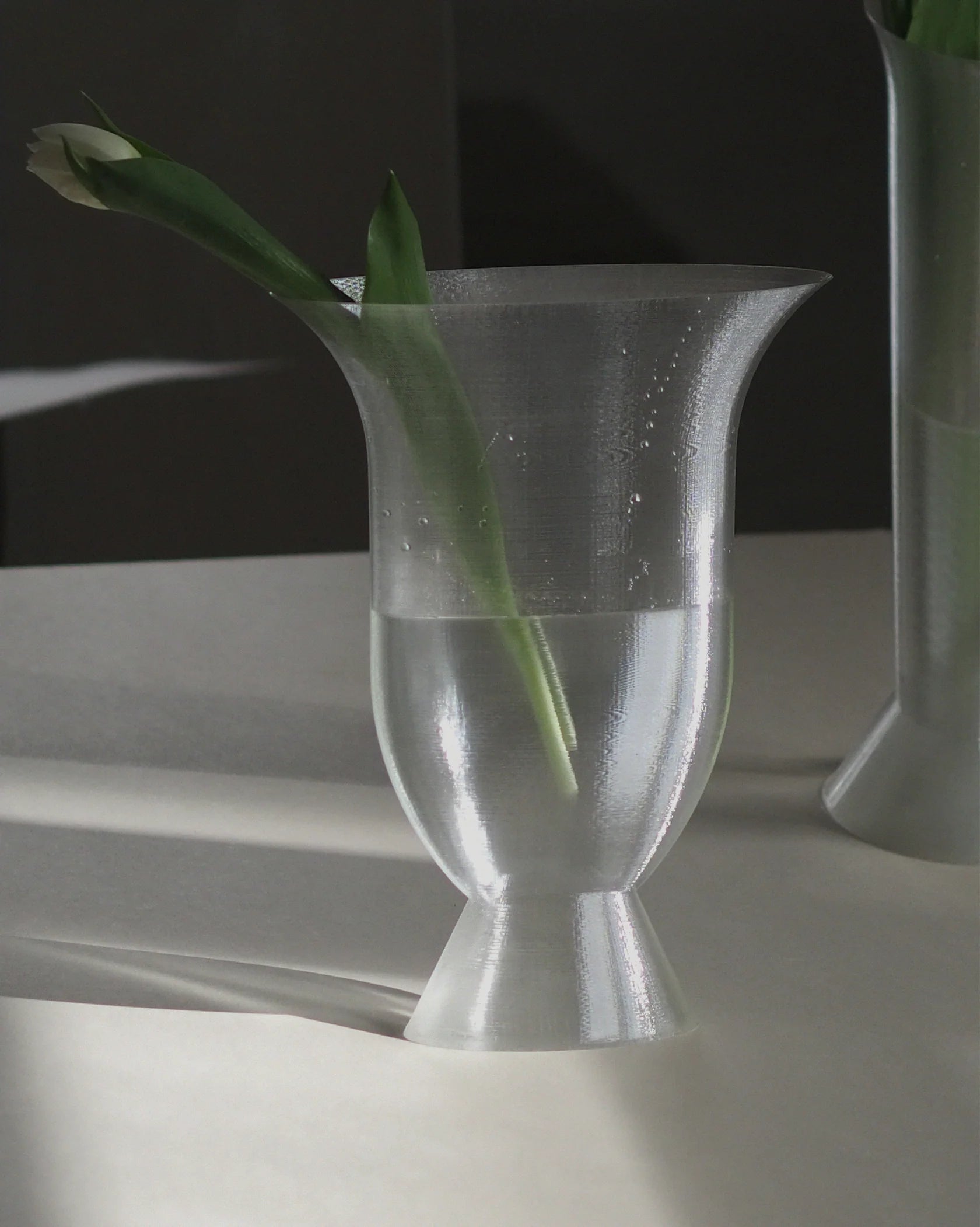 ARGOT STUDIO Elipse Vase Duo